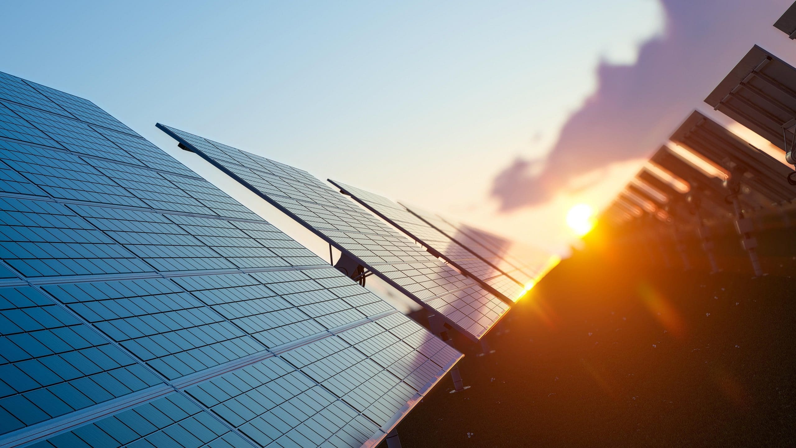 panneau solaire photovoltaïque gestion énergie écologique