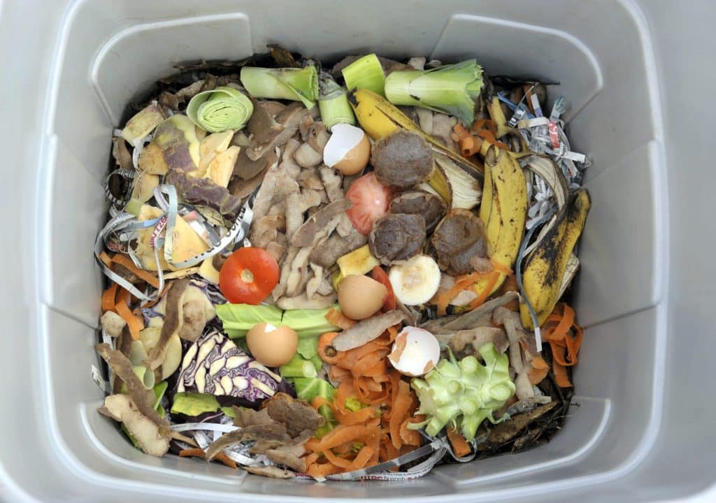 corbeille contenant des matières organiques destiné au compost